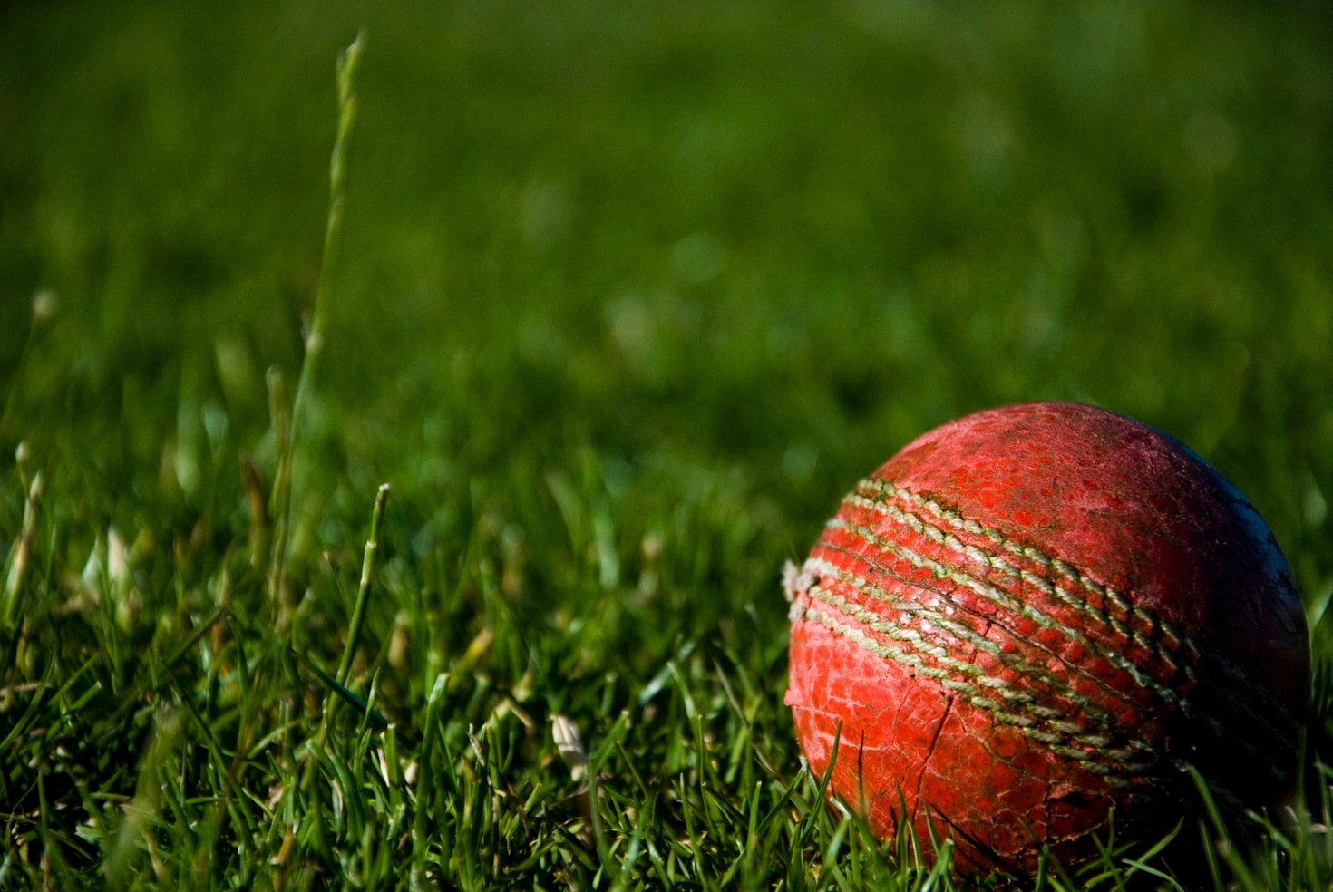 A Beginner’s Guide to Cricket Betting IDs